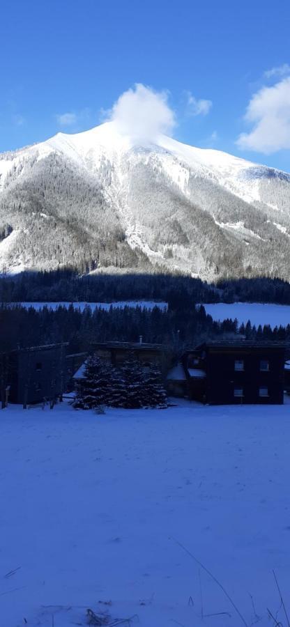 Apartmán Zirbenhuette Hohentauern Exteriér fotografie